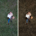 Autumn Presets