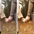 Autumn Presets