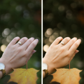Autumn Presets