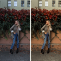 Autumn Presets